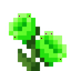Tall Mystical Lime Flower