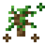 Wood Essence