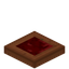Warted Acacia Trapdoor