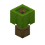 Lime Lamp