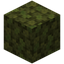 Dried Green Tea Leaf Block