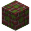Mossy Scarlet Bricks