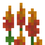 Red Lupine
