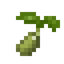 Barley Seed