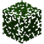 Cypress Leaves