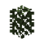 Birch Hedge