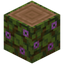 Flowering Jungle Log