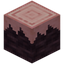 Damaged Cherry Log