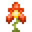 Flare Orchid