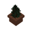 Spruce Sapling Pot