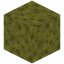 Sponge