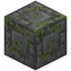 Tiny Brick Bordered Mossy Stone Bricks