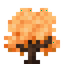 Warm Trumpet Sapling