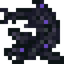 Dragon Fish