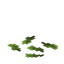 Mangrove Leaf Pile