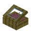 Pink Bamboo Display Case