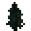 Spruce Sapling