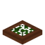 Leafy Acacia Trapdoor