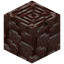 Ancient Debris