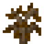 Brown Oak Sapling