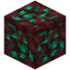 Nether Malachite Ore