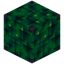Block Of Uraninite 1x