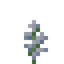 Clayconia Petite