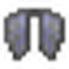Elytra