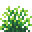 Lime Snowbelle
