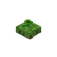 Floating Agricarnation Petite