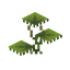 Small Dripleaf