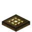 Golden Barred Oak Trapdoor
