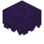 Jacaranda Bush