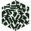 Thorn Leaves
