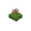 Floating Rannuncarpus