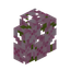 Cherry Hedge