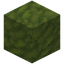 Smooth Moss Block