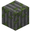 Mossy Stone Bricks Pillar