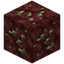 Nether Monazite Ore