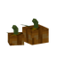 Pair of Pumpkins