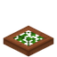 Leafy Acacia Trapdoor