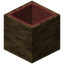 Hollow Mangrove Log