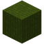 Barky Green Wool