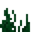 Seagrass
