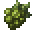 White Savanna Grapes
