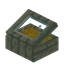 Yellow Echo Display Case