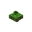 Floating Agricarnation Petite
