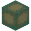 Sandy Grass