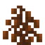 Cocoa Coral