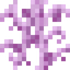 Dusk Vines